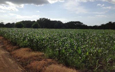 A Conversation with Peter Greer, President & CEO of Hope International, & Coauthor of Mission Drift