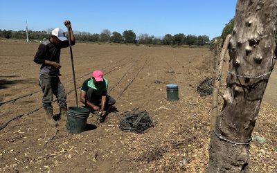 How a Business Can Be a Catalyst for Spiritual Hope